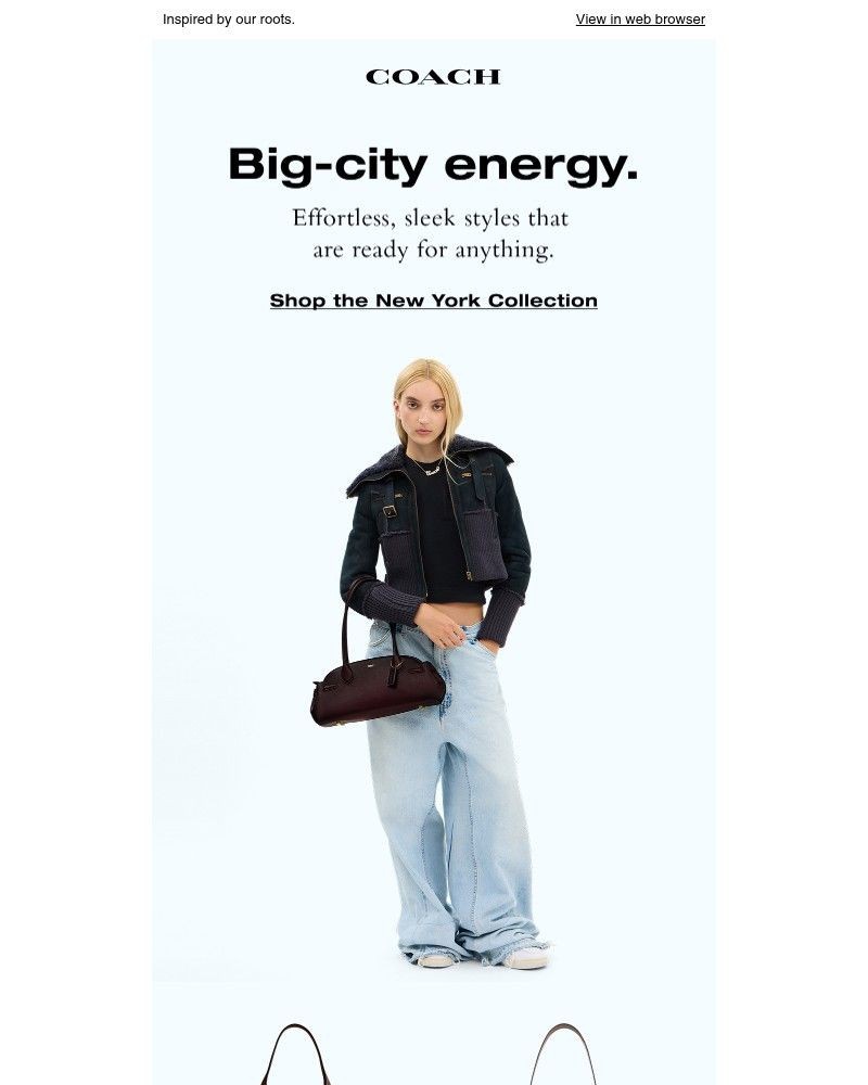 Screenshot of email with subject /media/emails/spotlight-on-the-new-york-collection-ec6420-cropped-c1d58bea.jpg