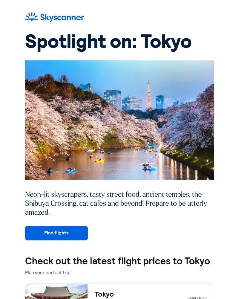Screenshot of email sent to a Skyscanner Registered user