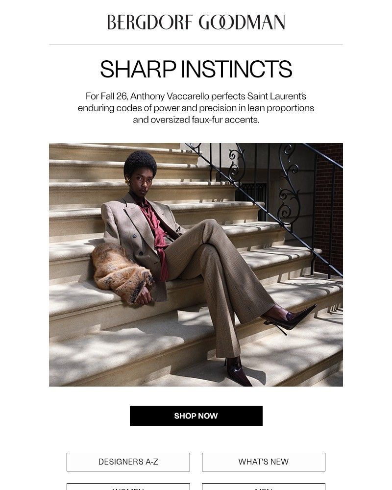 Screenshot of email with subject /media/emails/spotlight-saint-laurent-pre-fall-26-936712-cropped-7d96a5e1.jpg