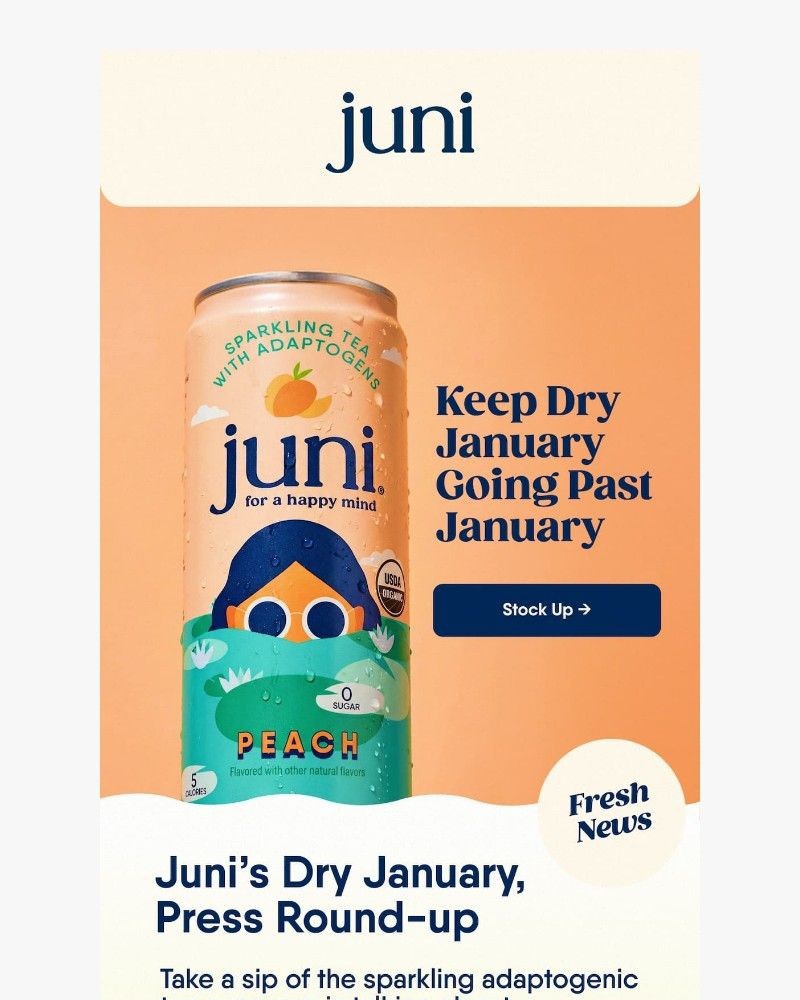 Screenshot of email sent to a Juni Newsletter subscriber