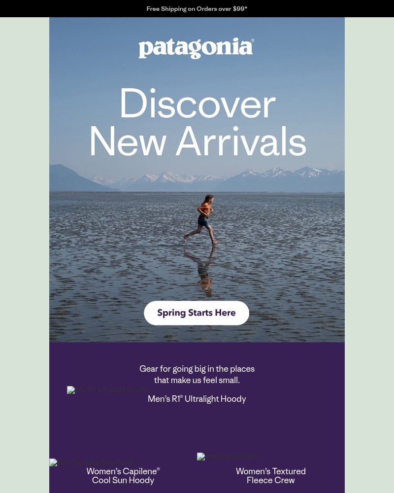 Screenshot of email sent to a Patagonia Newsletter subscriber