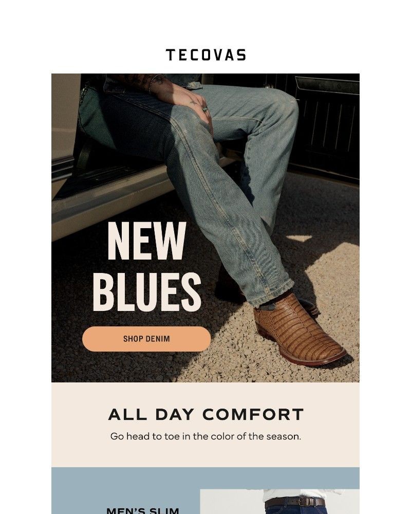 Screenshot of email with subject /media/emails/spring-arrivals-a75c32-cropped-d2f7f744.jpg