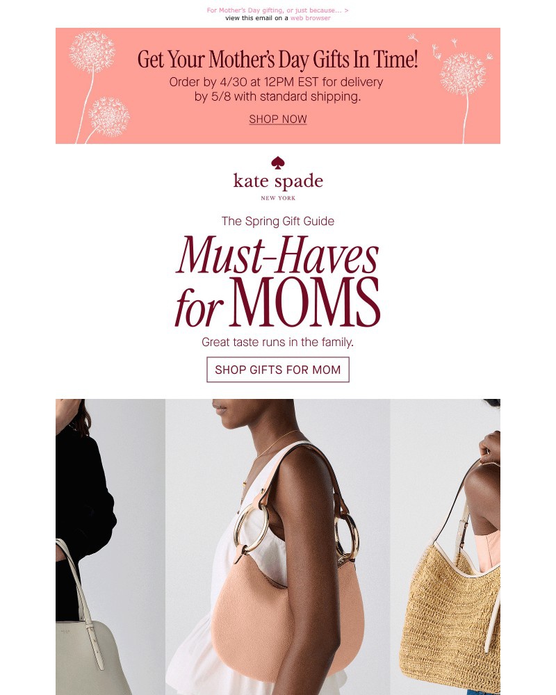 Screenshot of email with subject /media/emails/spring-bags-worth-celebrating-9a6927-cropped-8bf64b42.jpg