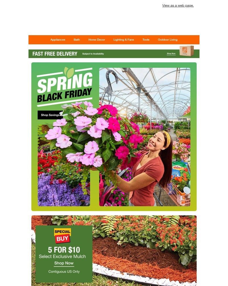 Screenshot of email with subject /media/emails/spring-black-friday-2cd175-cropped-262253a7.jpg