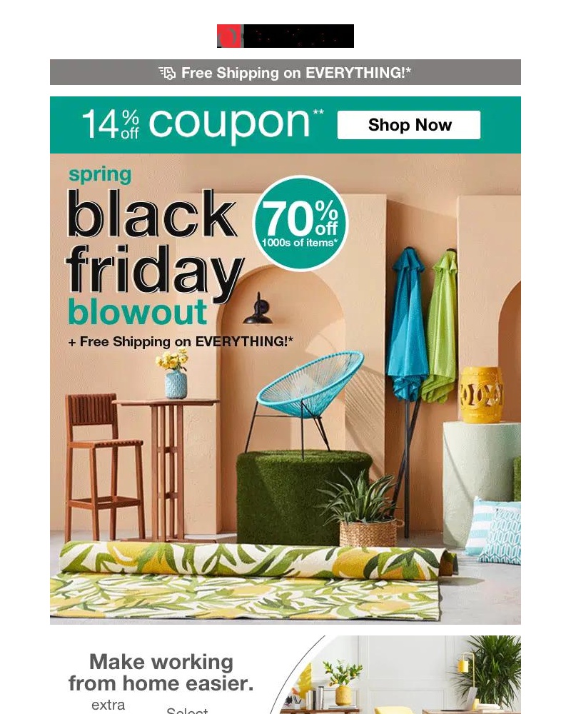 Screenshot of email with subject /media/emails/spring-black-friday-blowout-save-with-14-off-deeper-discounts-than-black-friday-c_8IlIoGk.jpg