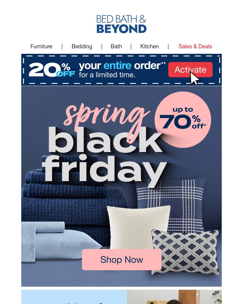 Screenshot of email with subject /media/emails/spring-black-friday-deals-on-home-must-haves-41ef66-cropped-bfe735f7.jpg