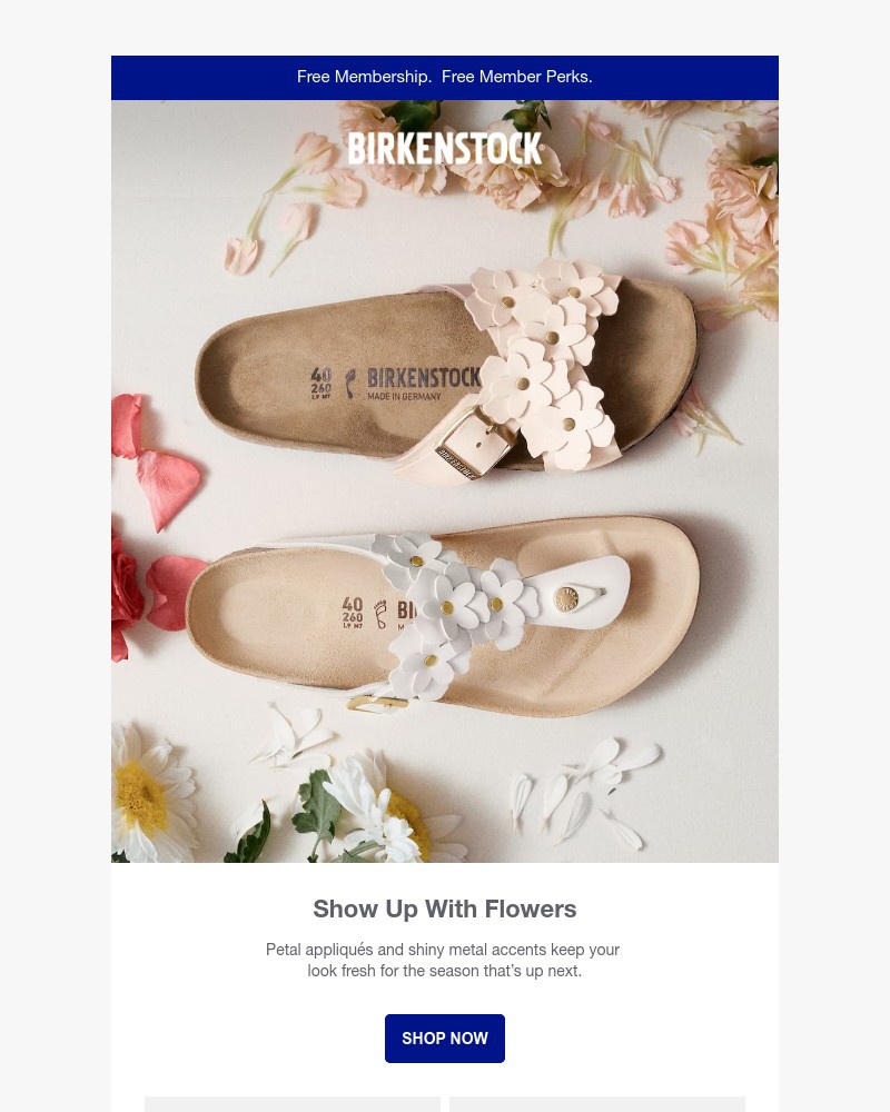 Screenshot of email with subject /media/emails/spring-blooms-here-first-floral-sandals-are-back-ac81e8-cropped-c6912c4a.jpg