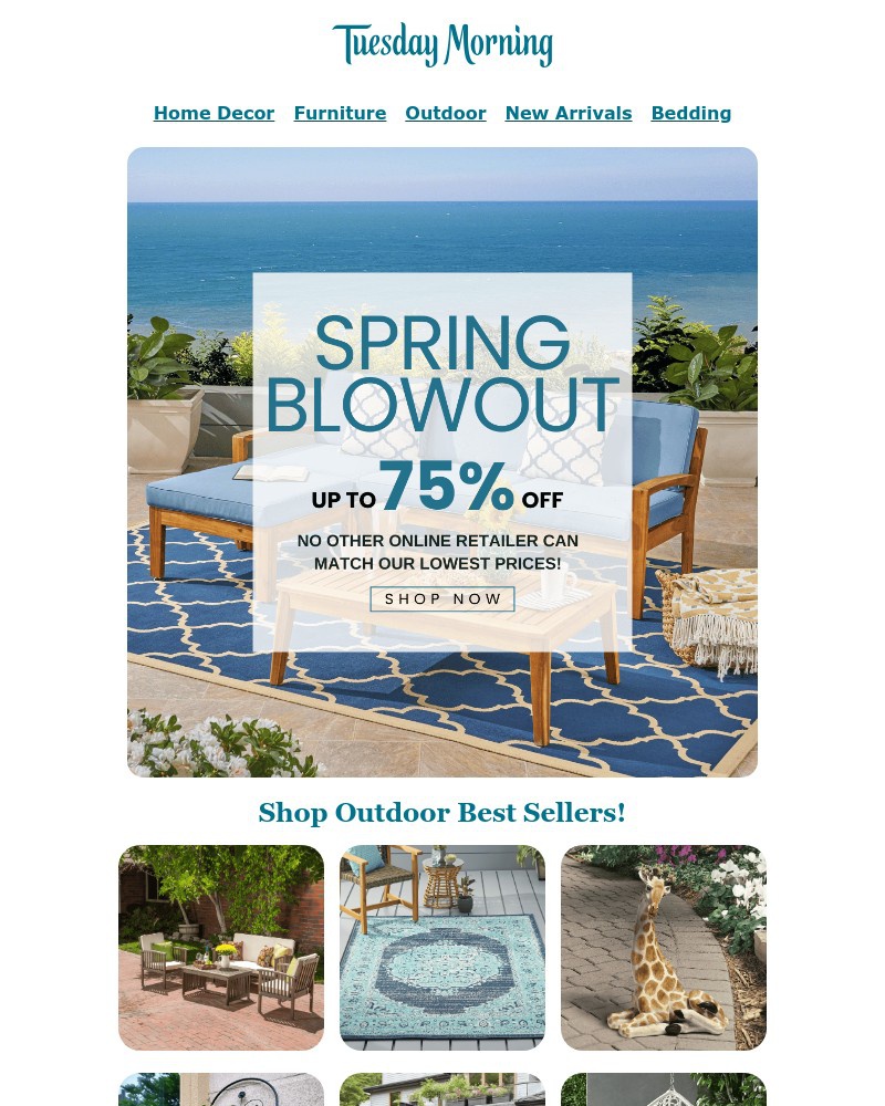 Screenshot of email with subject /media/emails/spring-blowout-sale-up-to-75-off-site-wide-b0ab98-cropped-2ae6e2c1.jpg
