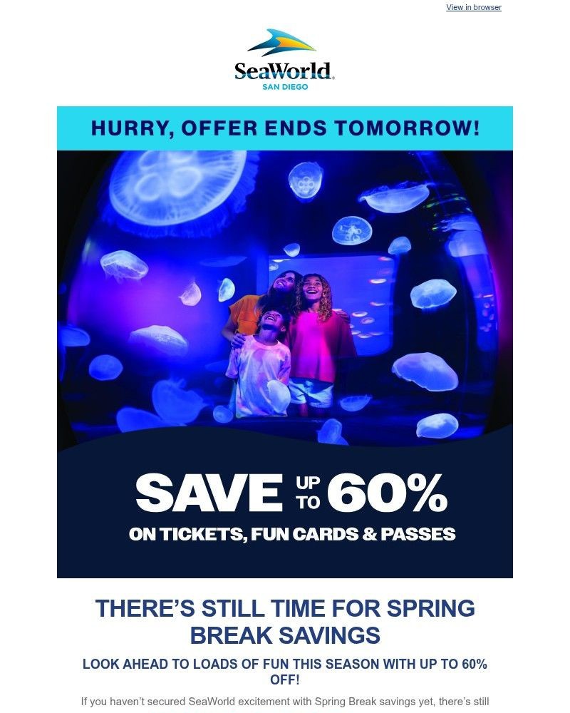 Screenshot of email sent to a Sea World Newsletter subscriber