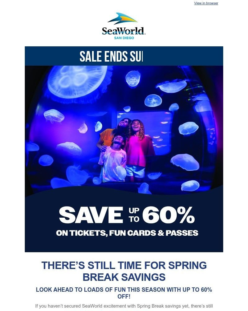 Screenshot of email with subject /media/emails/spring-break-sale-final-days-save-up-to-60-on-tickets-fun-cards-and-passes-7ebb48_ZwGXWuh.jpg