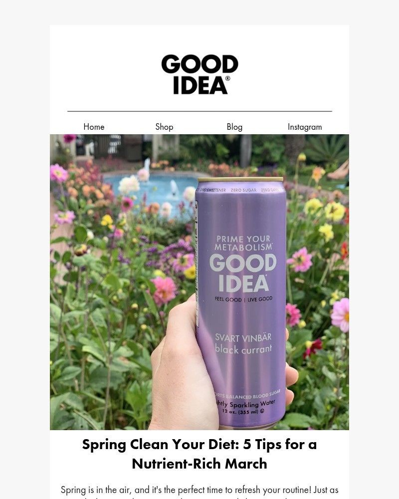 Screenshot of email sent to a Good Idea Newsletter subscriber