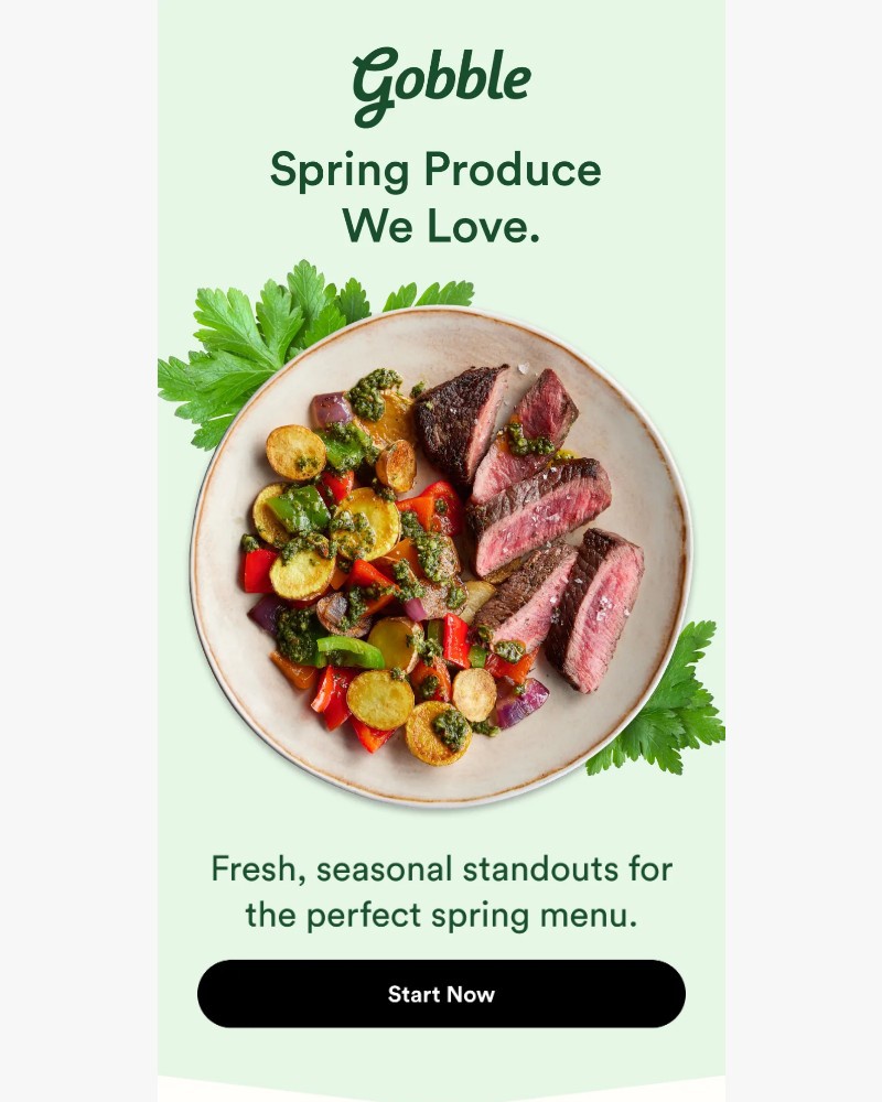 Screenshot of email sent to a Gobble Cart abandoner