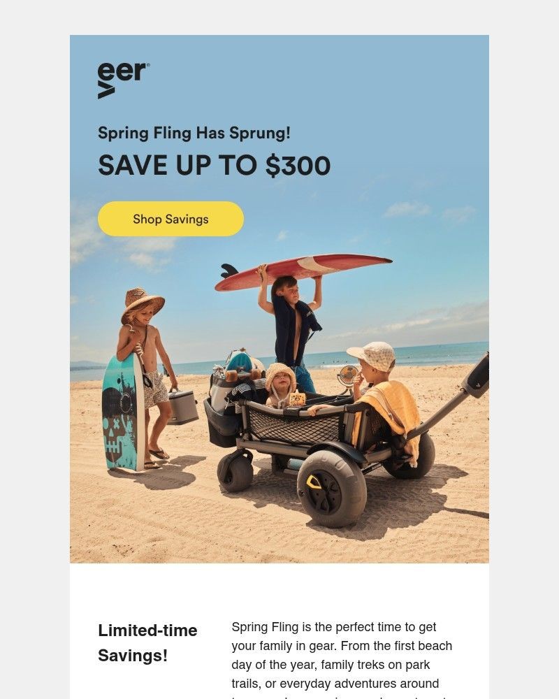 Screenshot of email sent to a Veer Newsletter subscriber