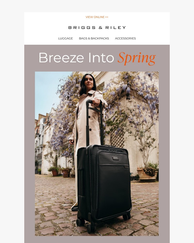 Screenshot of email with subject /media/emails/spring-forward-with-these-travel-essentials-ab529e-cropped-b2726720.jpg