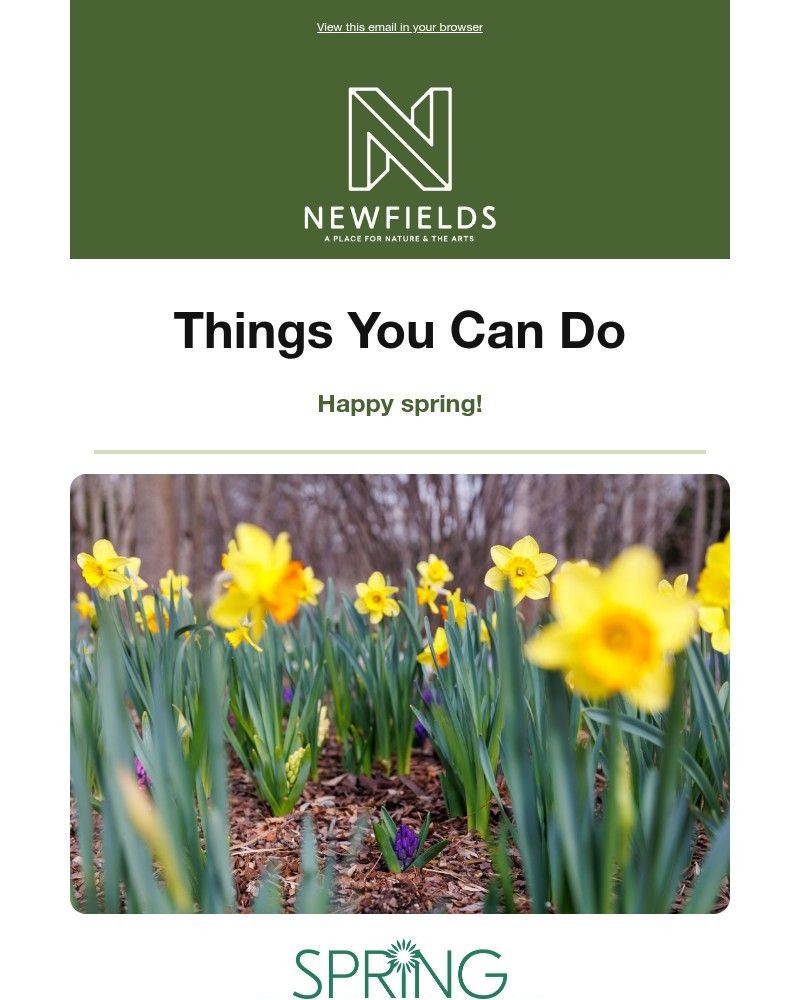 Screenshot of email sent to a Newfields Newsletter subscriber