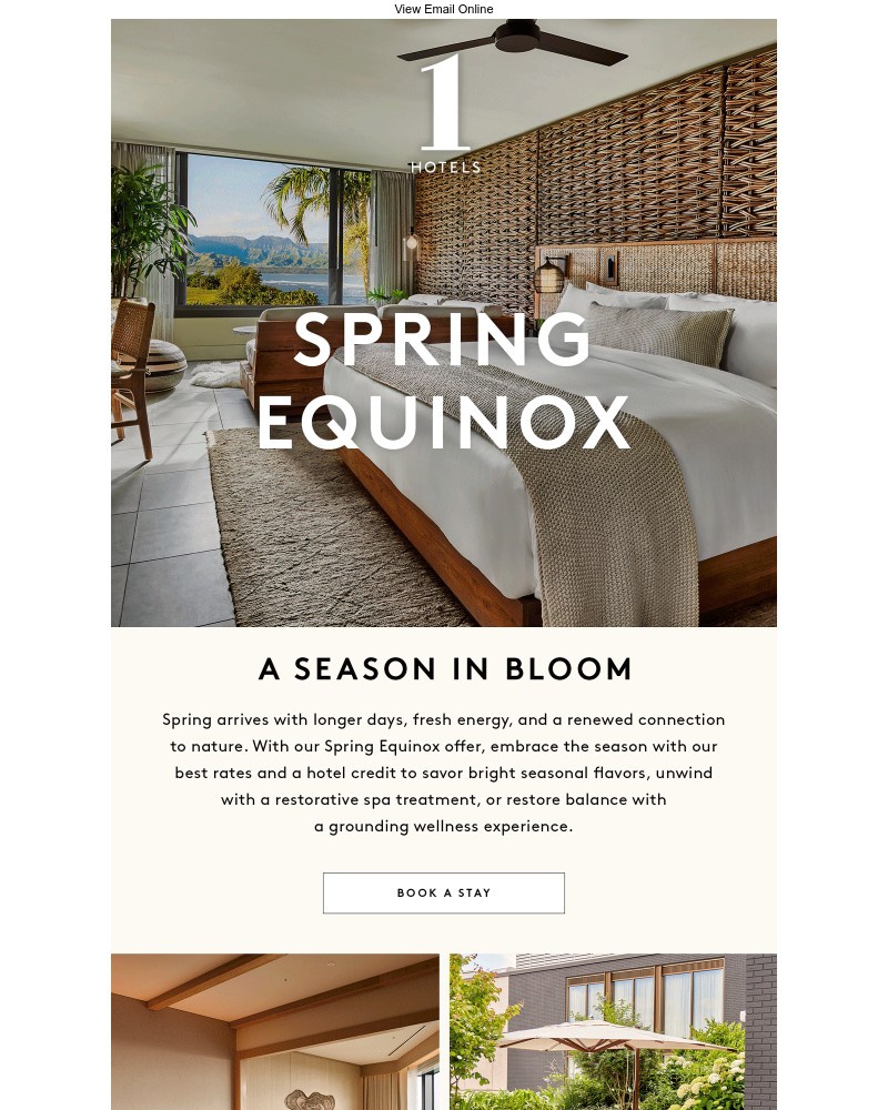 Screenshot of email sent to a 1 Hotels Newsletter subscriber