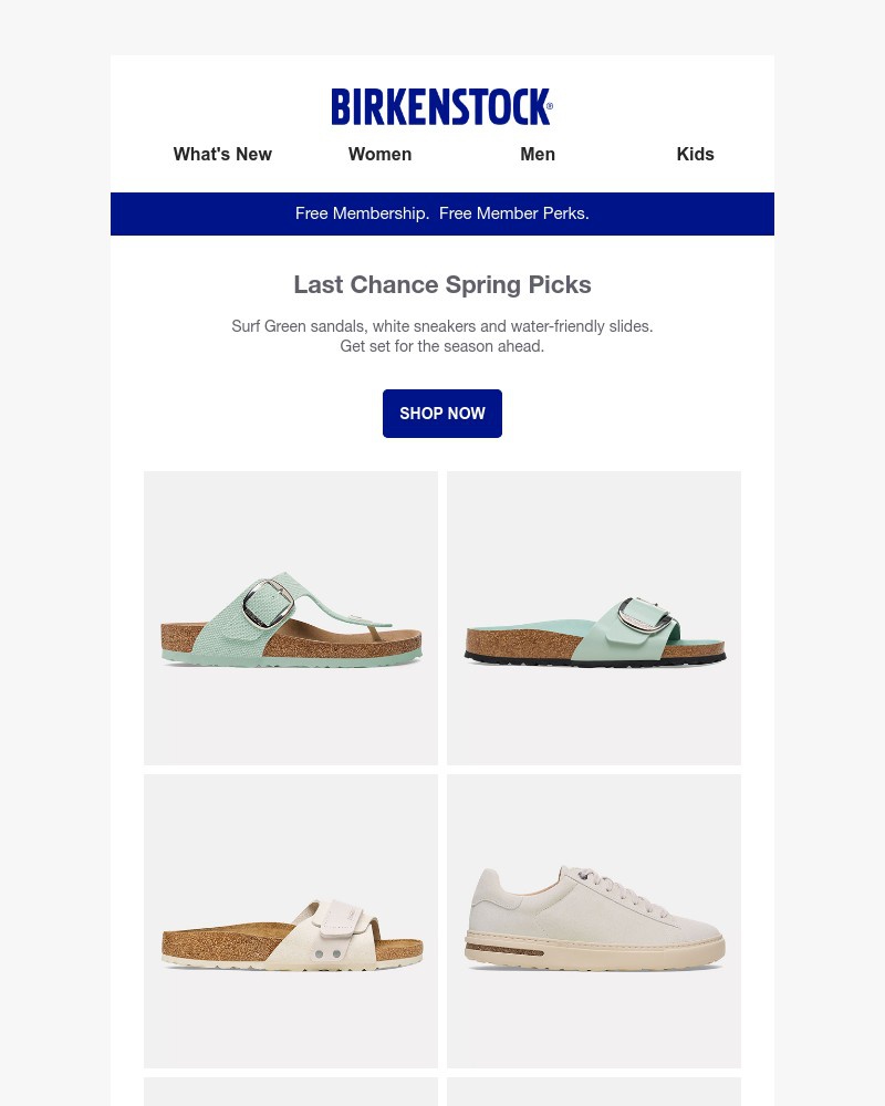 Screenshot of email with subject /media/emails/spring-picks-from-last-chance-323c99-cropped-904970c3.jpg