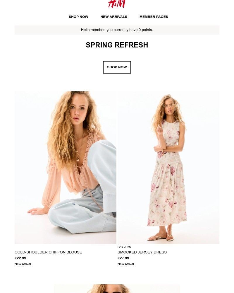 Screenshot of email with subject /media/emails/spring-refresh-d41a5b-cropped-87663d63.jpg