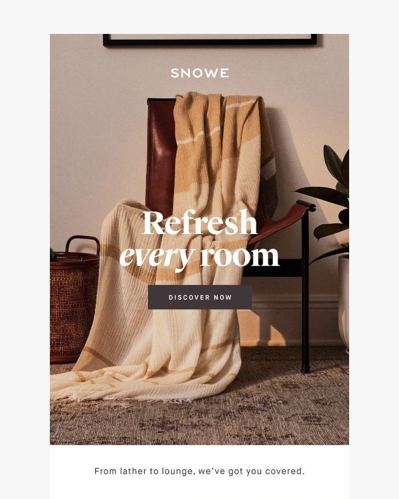 Screenshot of email sent to a Snowe Newsletter subscriber