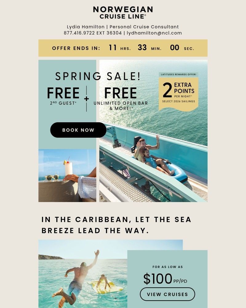 Screenshot of email with subject /media/emails/spring-sale-ends-tonight-f6b0a9-cropped-da06d5b6.jpg