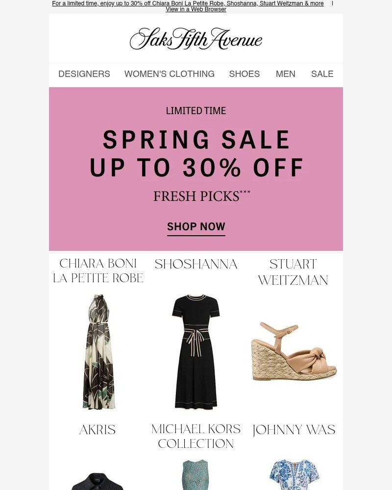 Screenshot of email sent to a Saks Fifth Avenue Newsletter subscriber