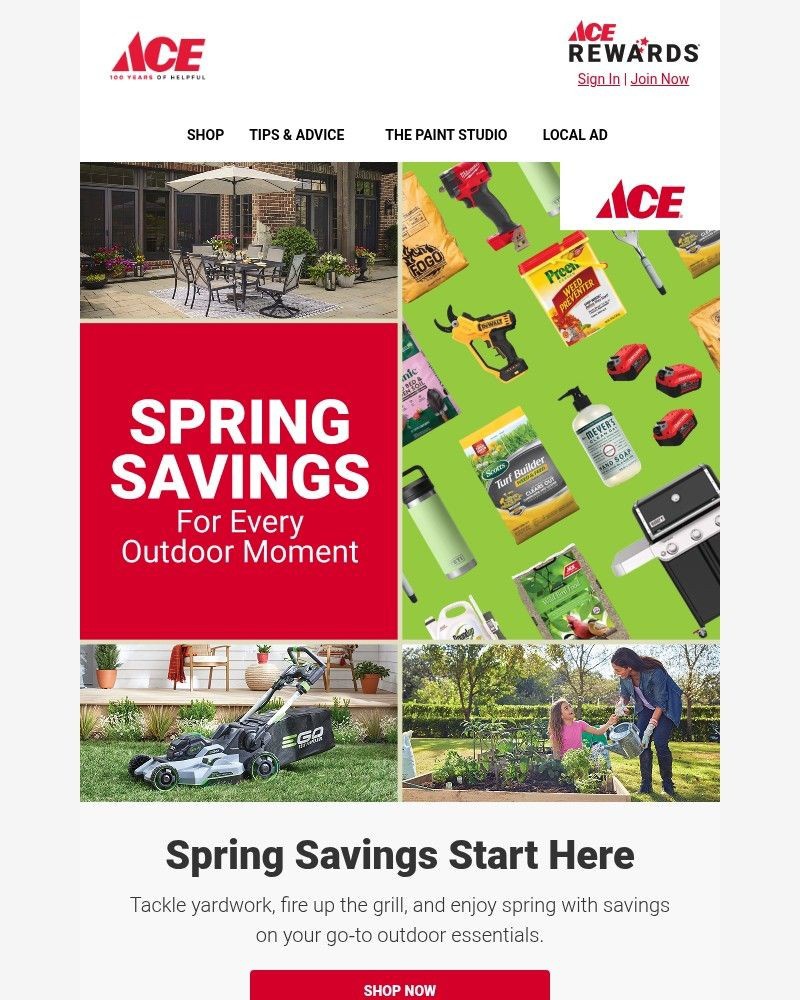 Screenshot of email sent to a Ace Hardware Newsletter subscriber