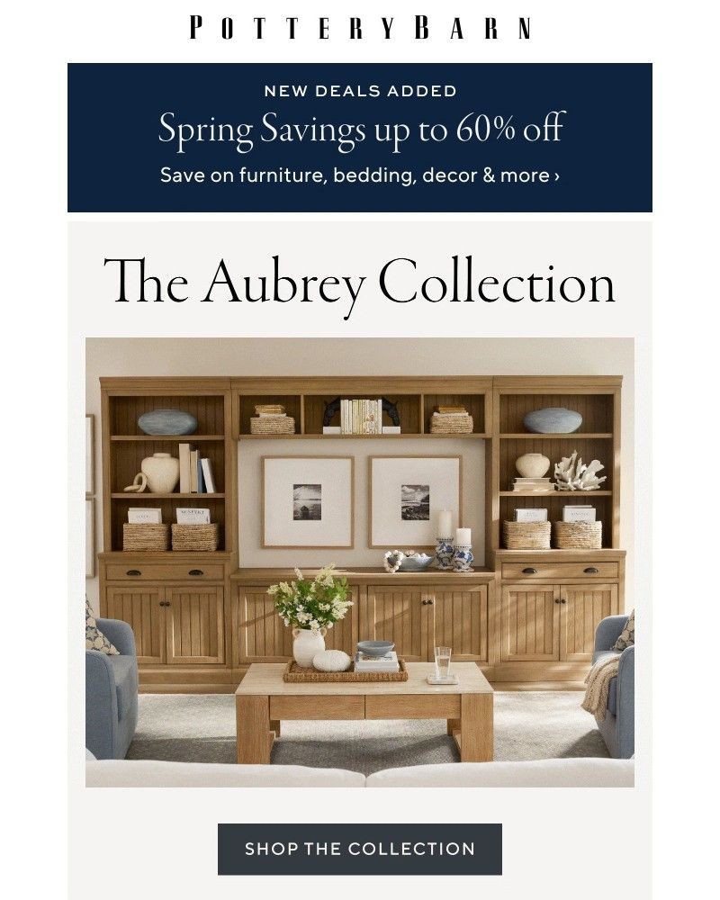 Screenshot of email sent to a Pottery Barn Cart abandoner