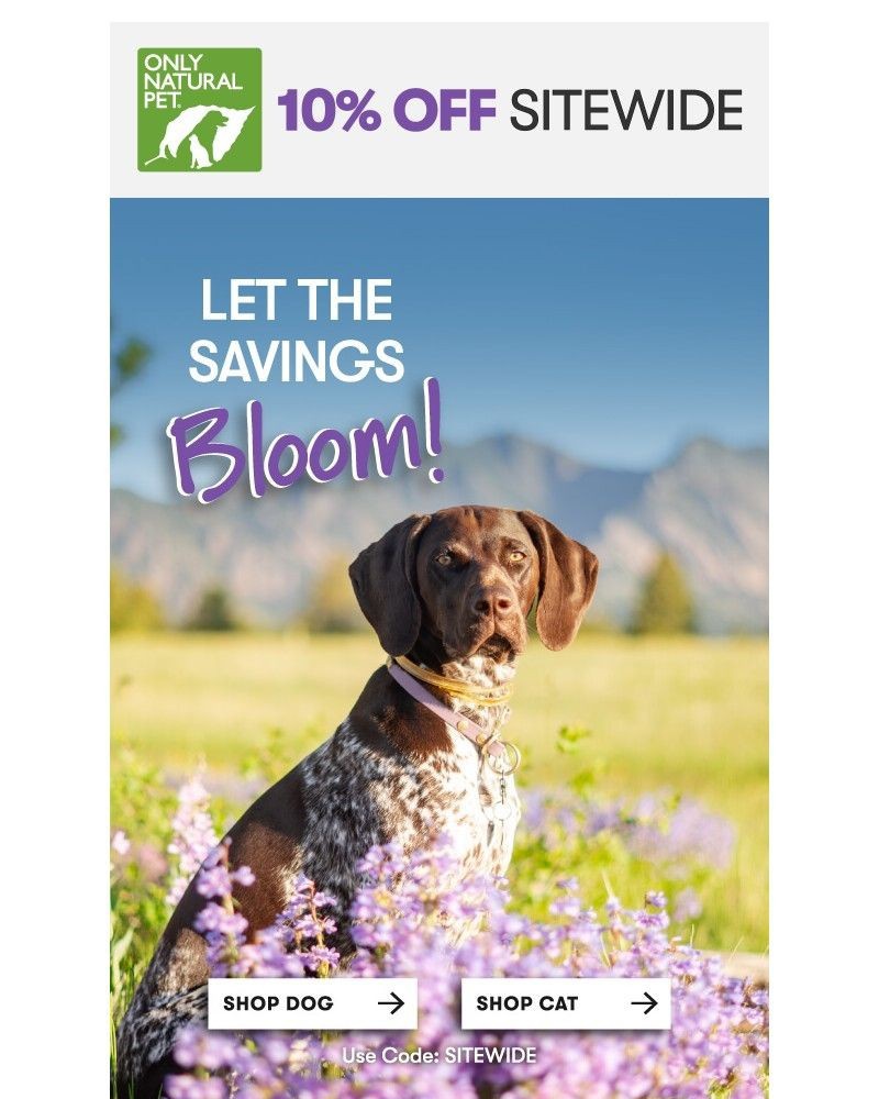 Screenshot of email sent to a Only Natural Pet Newsletter subscriber
