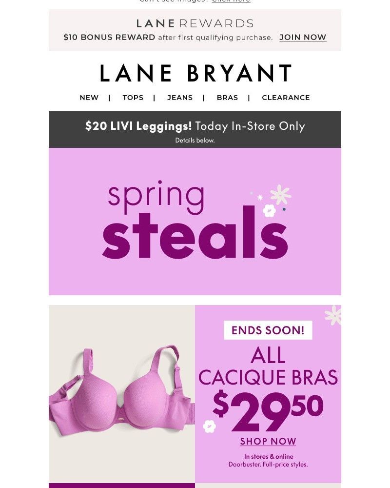 Screenshot of email with subject /media/emails/spring-steals-2950-bras-39-dresses-15-tees-a3fd9a-cropped-852eaec1.jpg