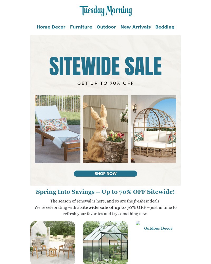 Screenshot of email with subject /media/emails/spring-steals-are-here-up-to-70-off-sitewide-df5da6-cropped-38774912.jpg