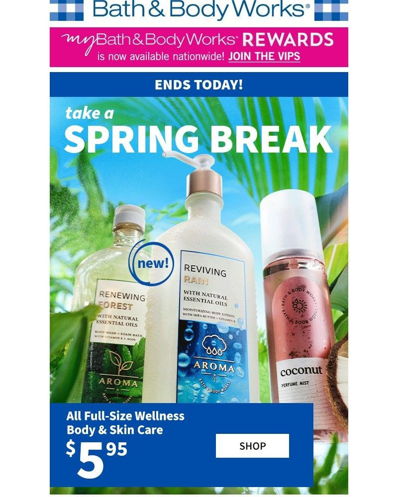 Screenshot of email with subject /media/emails/spring-vibes-wellness-buys595-ends-today-81c1aa-cropped-687a4072.jpg