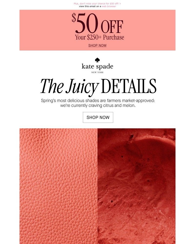 Screenshot of email sent to a Kate Spade Newsletter subscriber