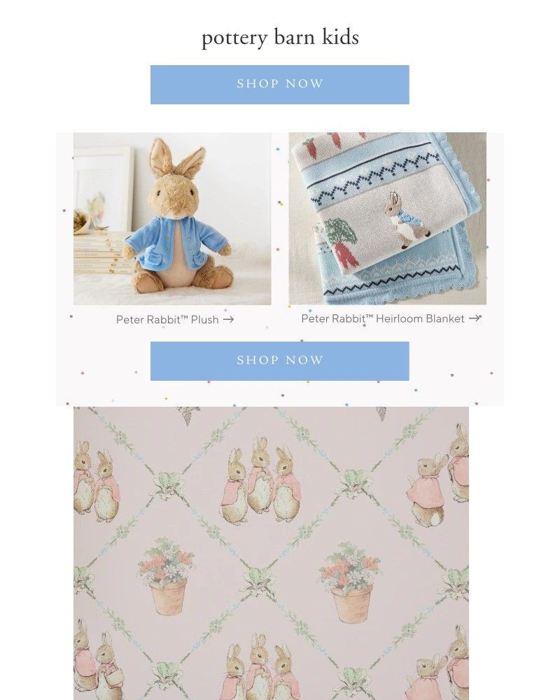 Screenshot of email with subject /media/emails/springtime-fun-with-peter-rabbittm-6ddcfa-cropped-99edff8e.jpg