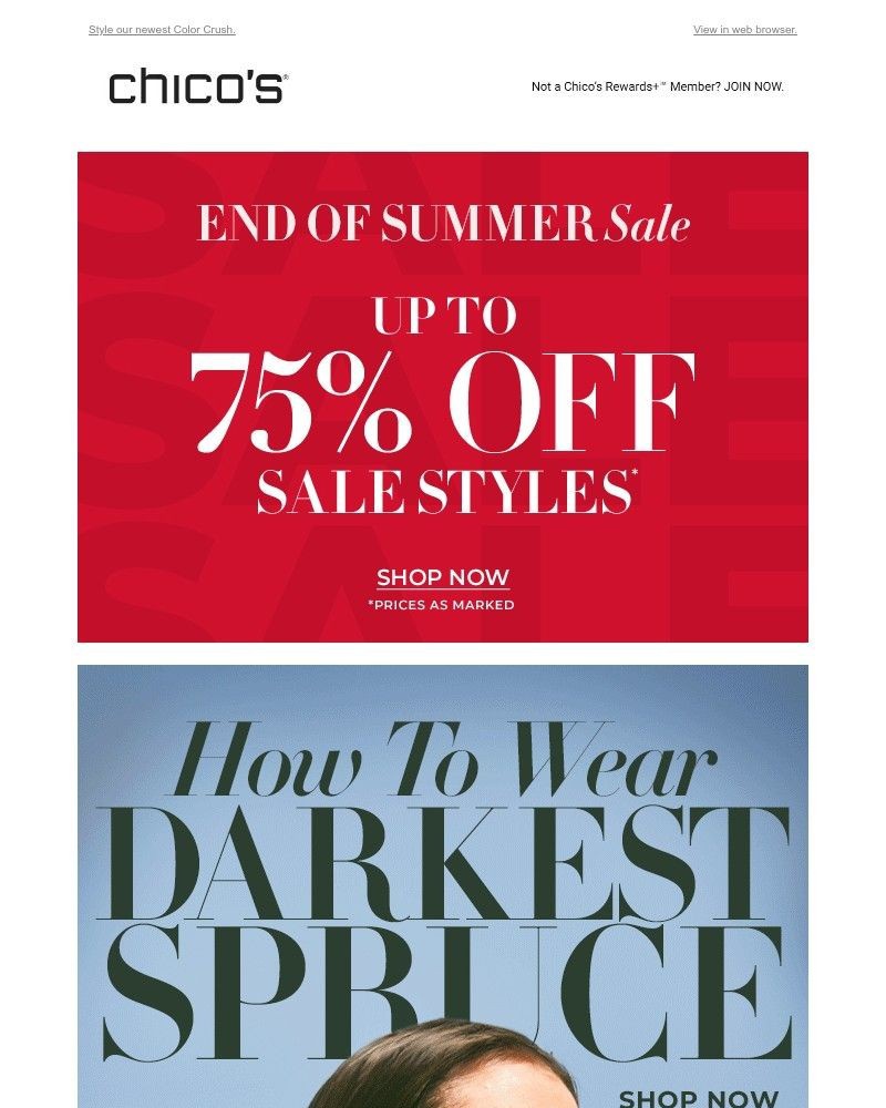 Screenshot of email with subject /media/emails/spruce-up-your-look-2e88ba-cropped-1ab6300f.jpg