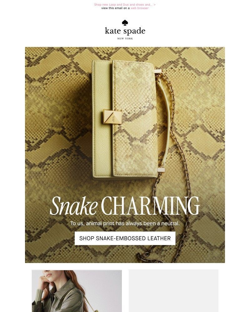 Screenshot of email with subject /media/emails/ssssso-many-snake-styles-03d210-cropped-07179cee.jpg