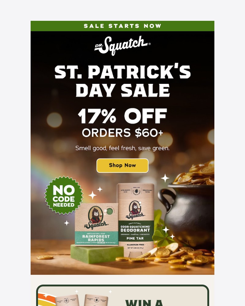 Screenshot of email with subject /media/emails/st-patricks-day-sale-starts-now-dc40f3-cropped-7f5583ff.jpg