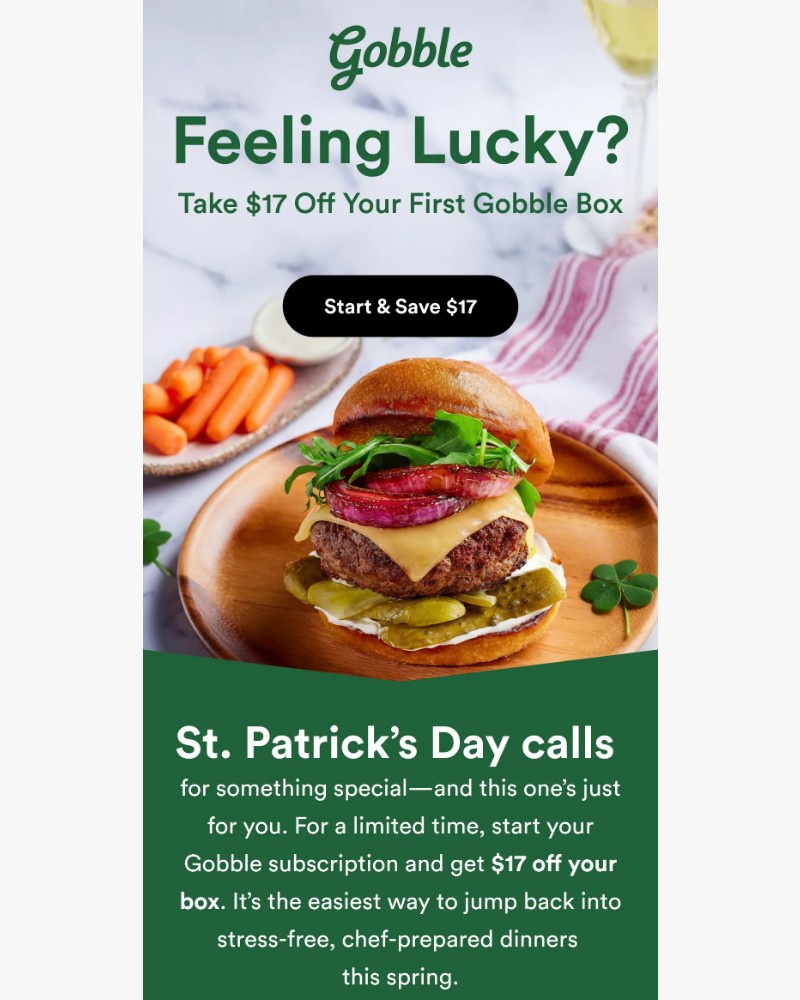 Screenshot of email sent to a Gobble Cart abandoner