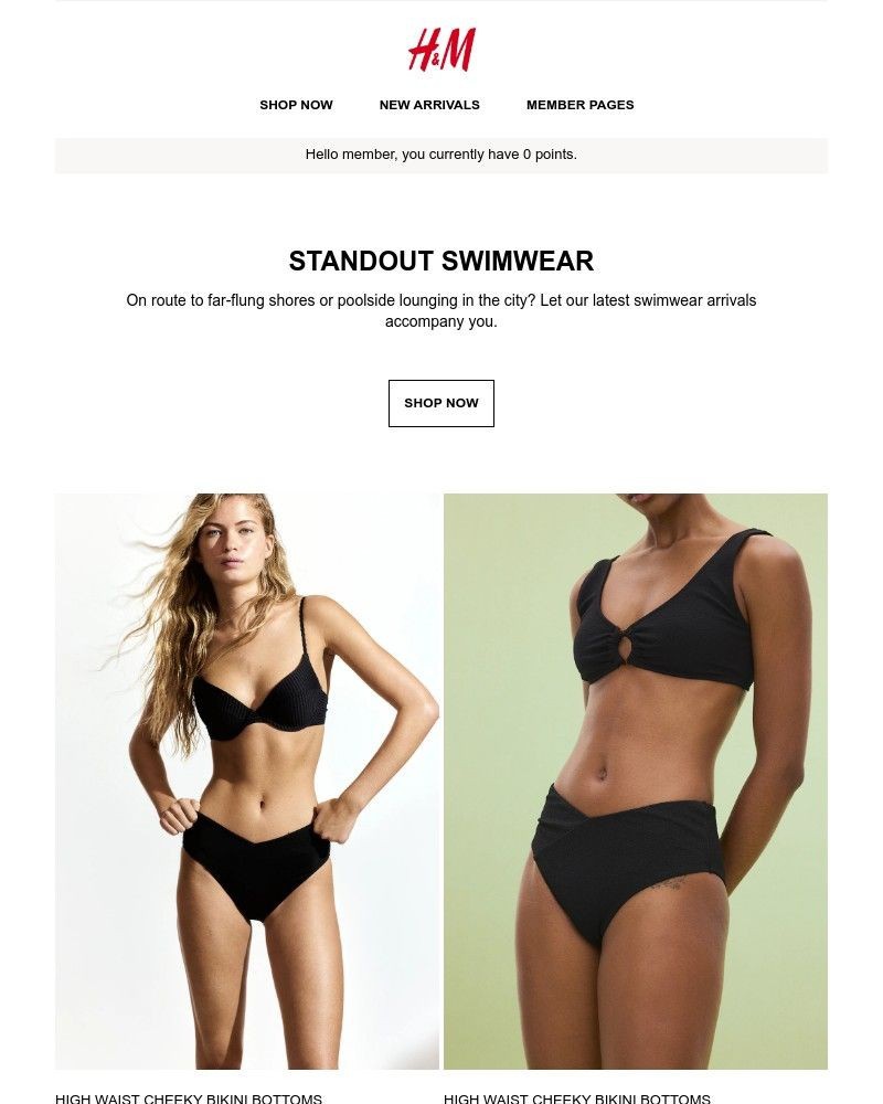 Screenshot of email with subject /media/emails/standout-swimwear-f6b663-cropped-810d790c.jpg