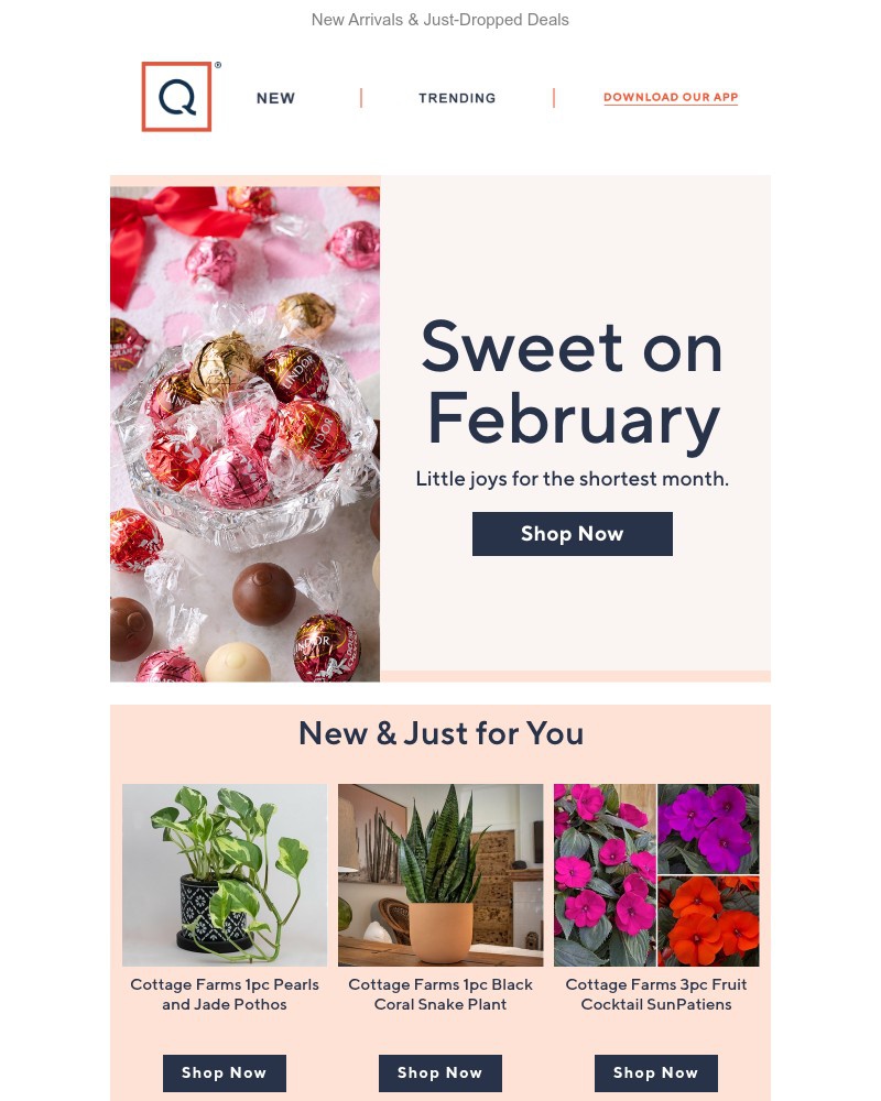 Screenshot of email with subject /media/emails/start-crushing-on-a-new-month-469581-cropped-8f7ac0eb.jpg