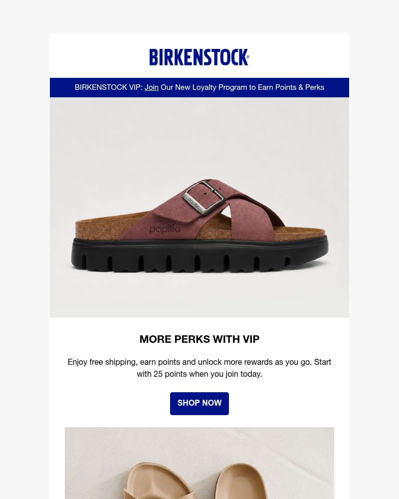 Screenshot of email with subject /media/emails/start-earning-points-perks-as-a-birkenstock-vip-736c07-cropped-f4315bfe.jpg