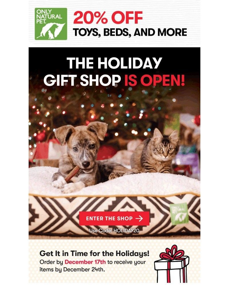 Screenshot of email sent to a Only Natural Pet Newsletter subscriber