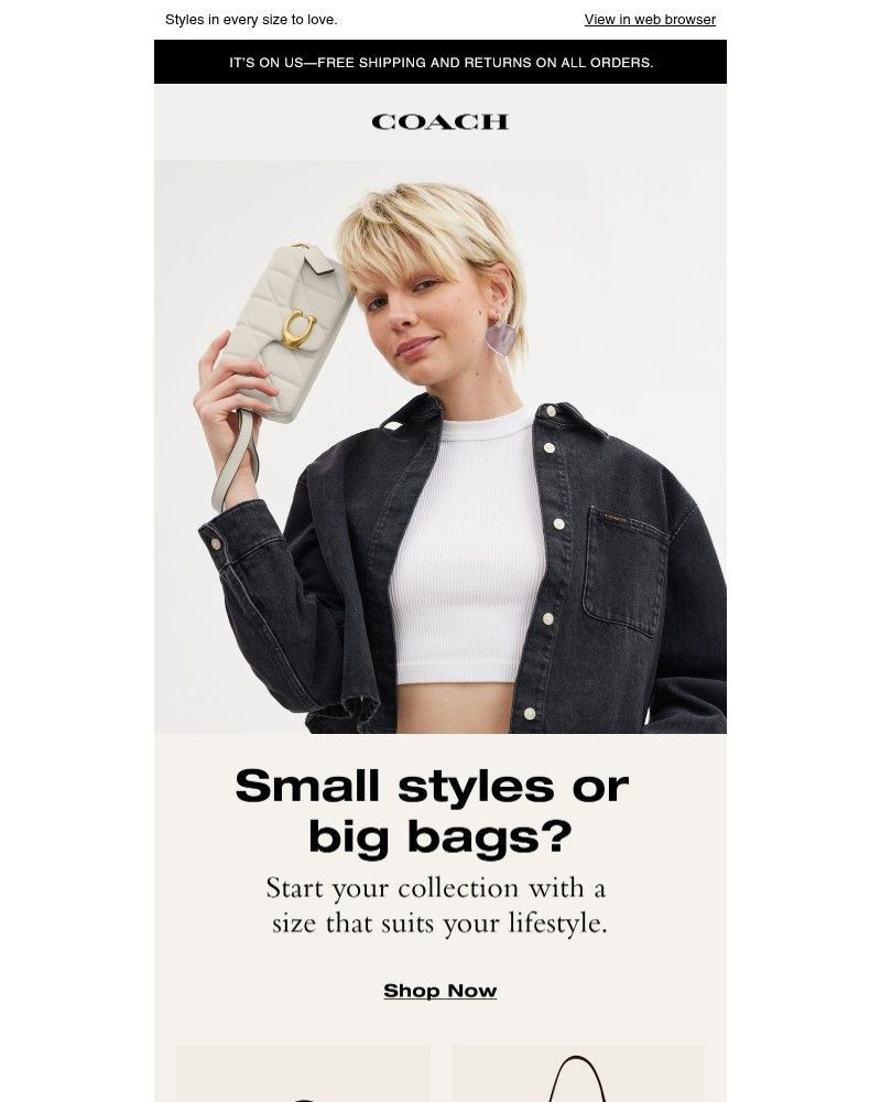 Screenshot of email with subject /media/emails/start-with-something-small-b9e23b-cropped-17234d4c.jpg