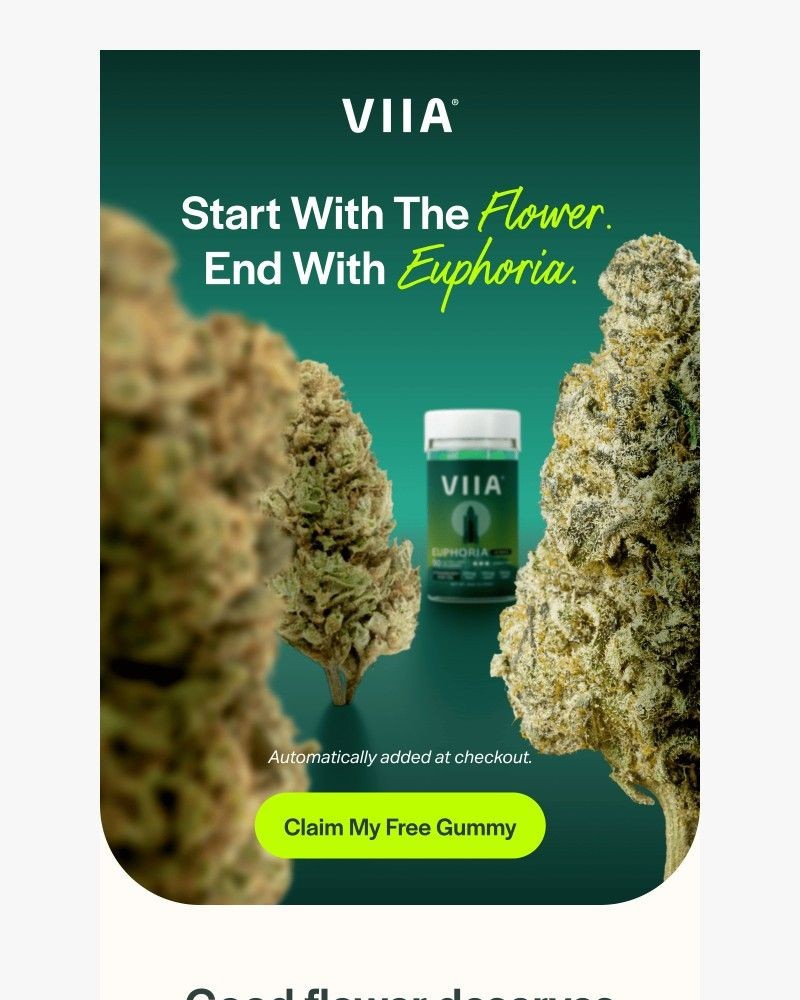 Screenshot of email with subject /media/emails/start-with-the-flower-end-with-euphoria-0b4300-cropped-b7cd0c33.jpg