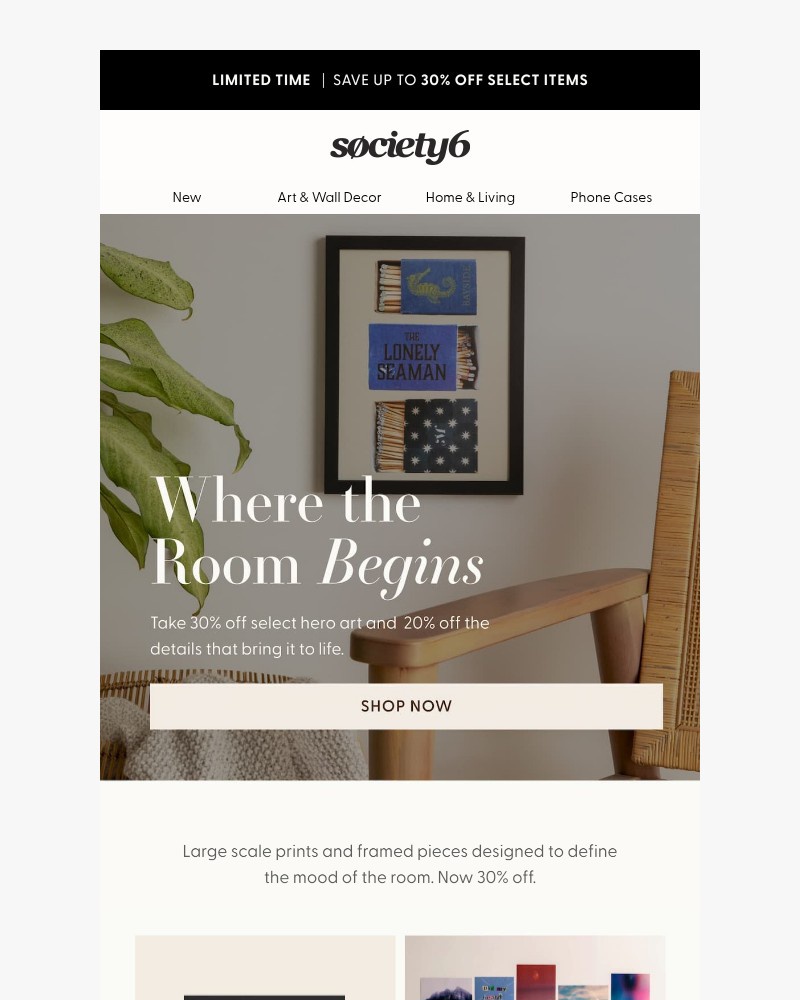 Screenshot of email sent to a Society6 Newsletter subscriber