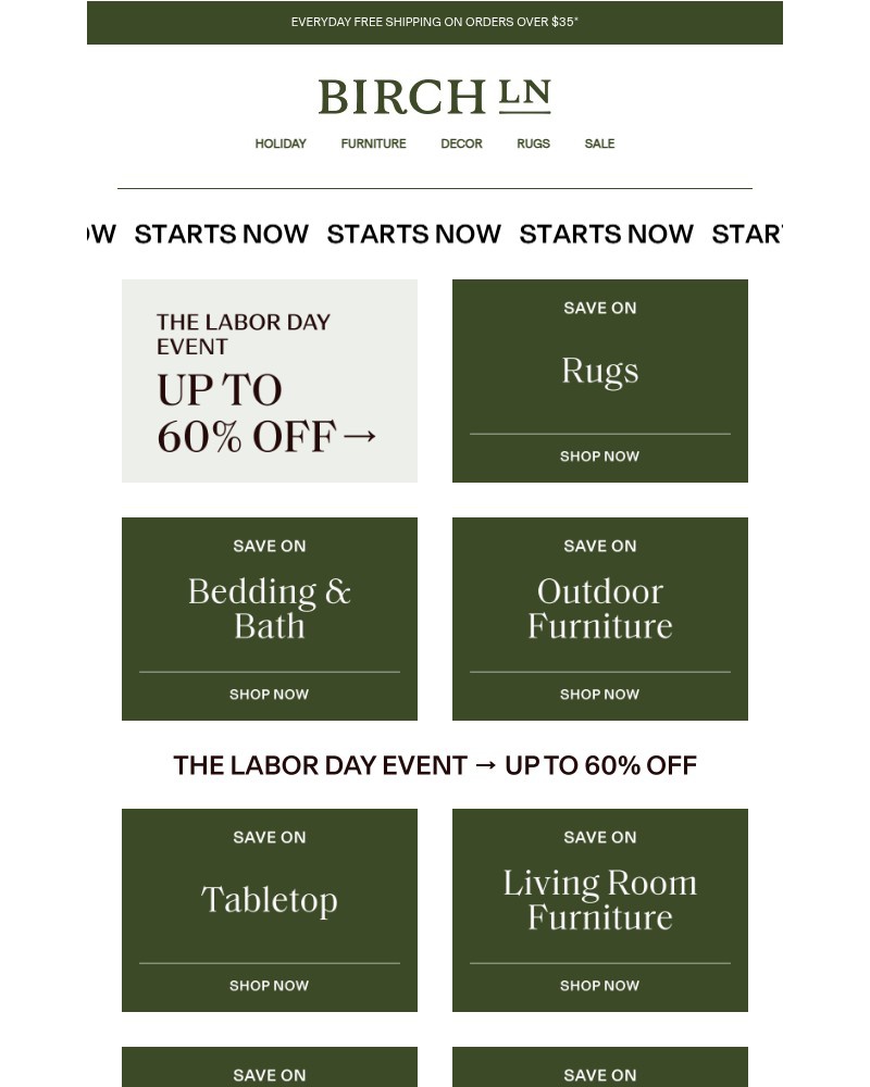 Screenshot of email with subject /media/emails/starting-now-labor-day-rug-deals-dade4f-cropped-6ddadcd6.jpg