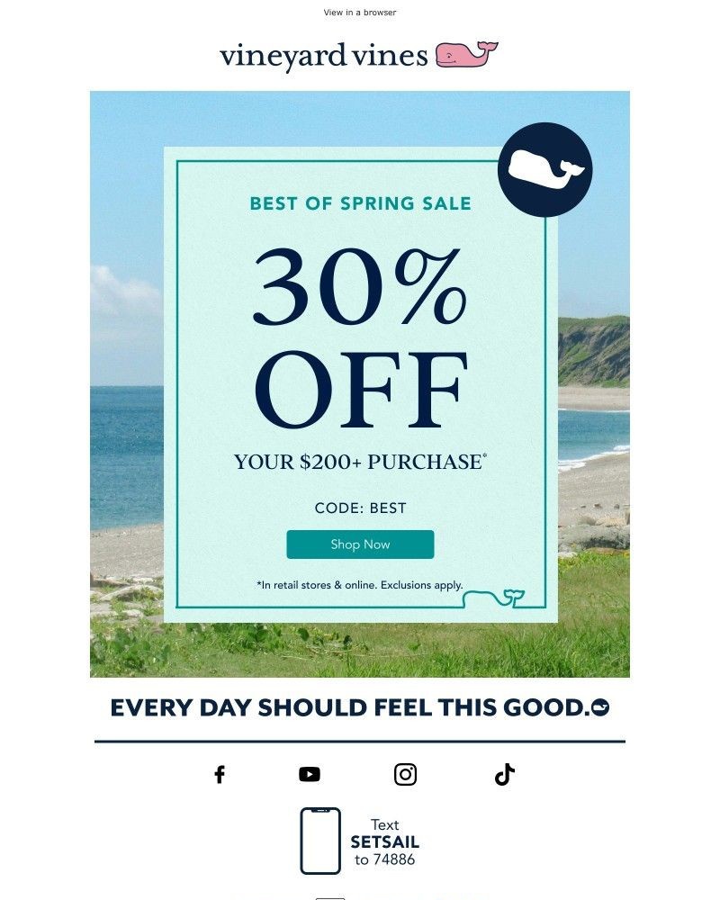 Screenshot of email with subject /media/emails/starts-now-30-off-your-200-purchase-c81b77-cropped-5d035c05.jpg