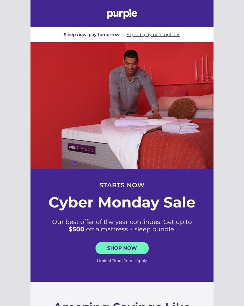 Screenshot of email with subject /media/emails/starts-now-cyber-monday-sale-3d2d9f-cropped-b7bbd063.jpg