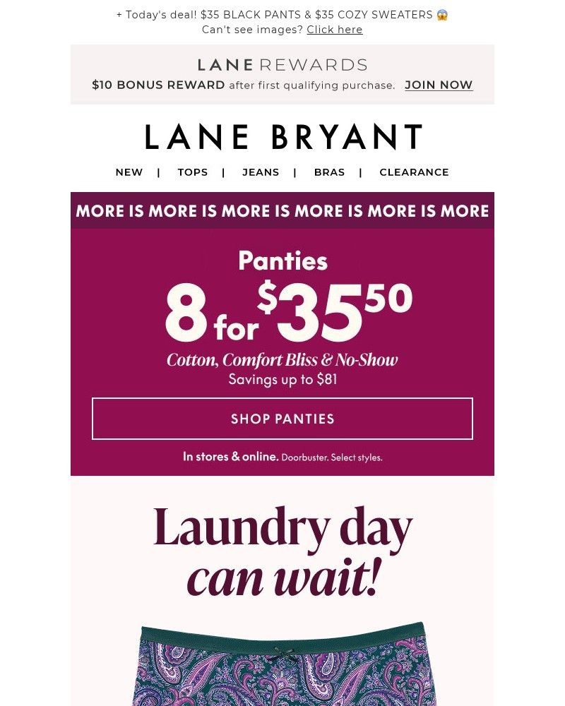 Screenshot of email with subject /media/emails/starts-now-perfect-fit-panties-83550-113c2a-cropped-4f0d5281.jpg