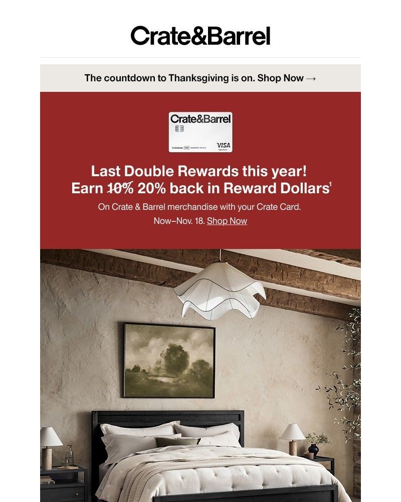 Screenshot of email with subject /media/emails/starts-now-up-to-20-off-early-black-friday-214494-cropped-48ac2e09.jpg