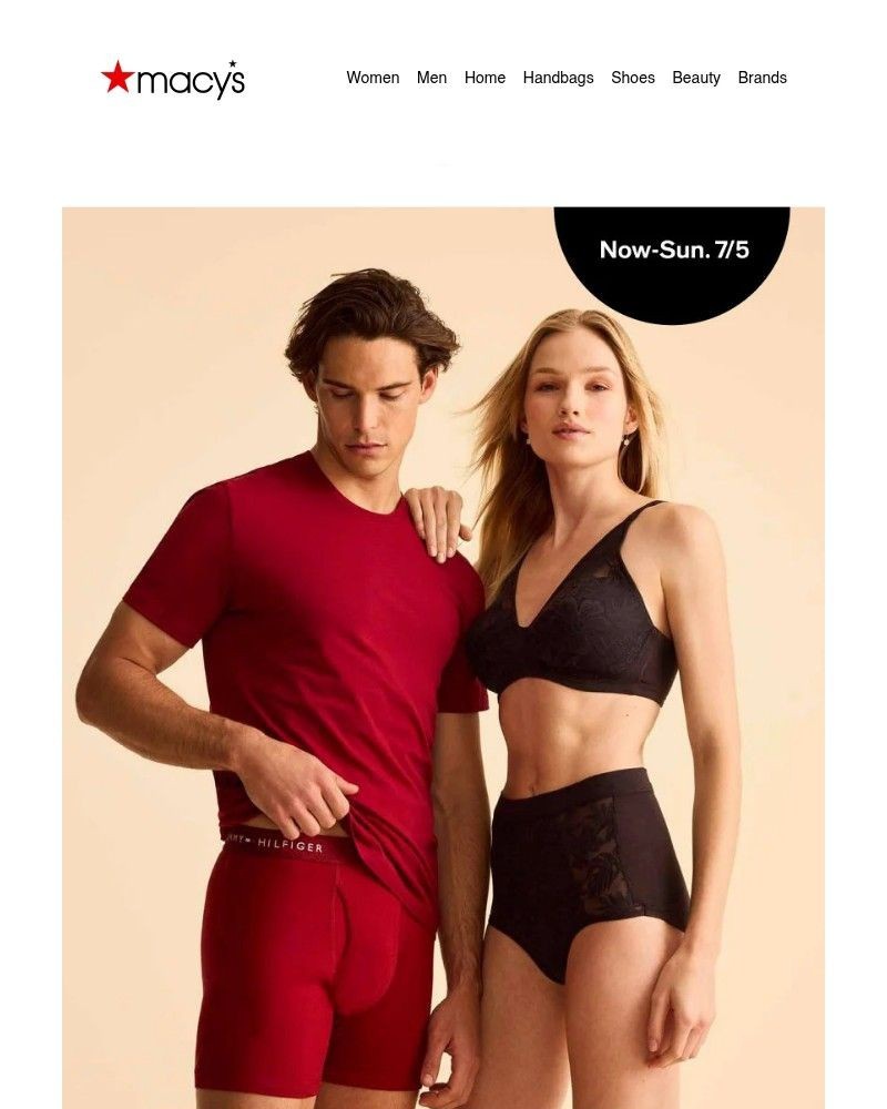 Screenshot of email with subject /media/emails/starts-nowunderwear-lingerie-sale-c51c09-cropped-72fa88e7.jpg